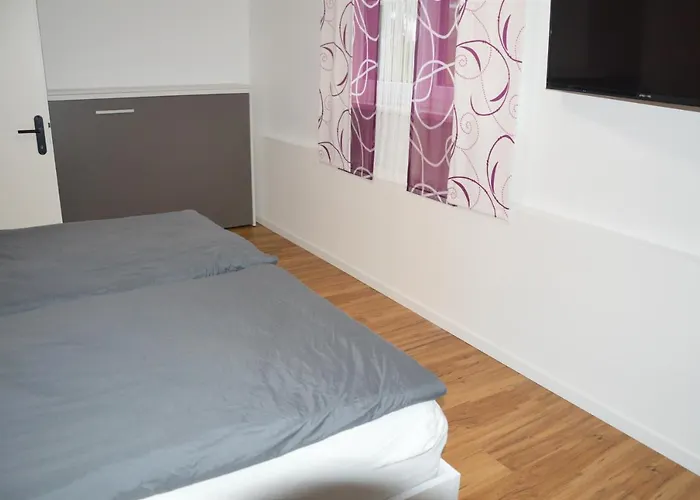 公寓 Seedomizil Gaisruecken *